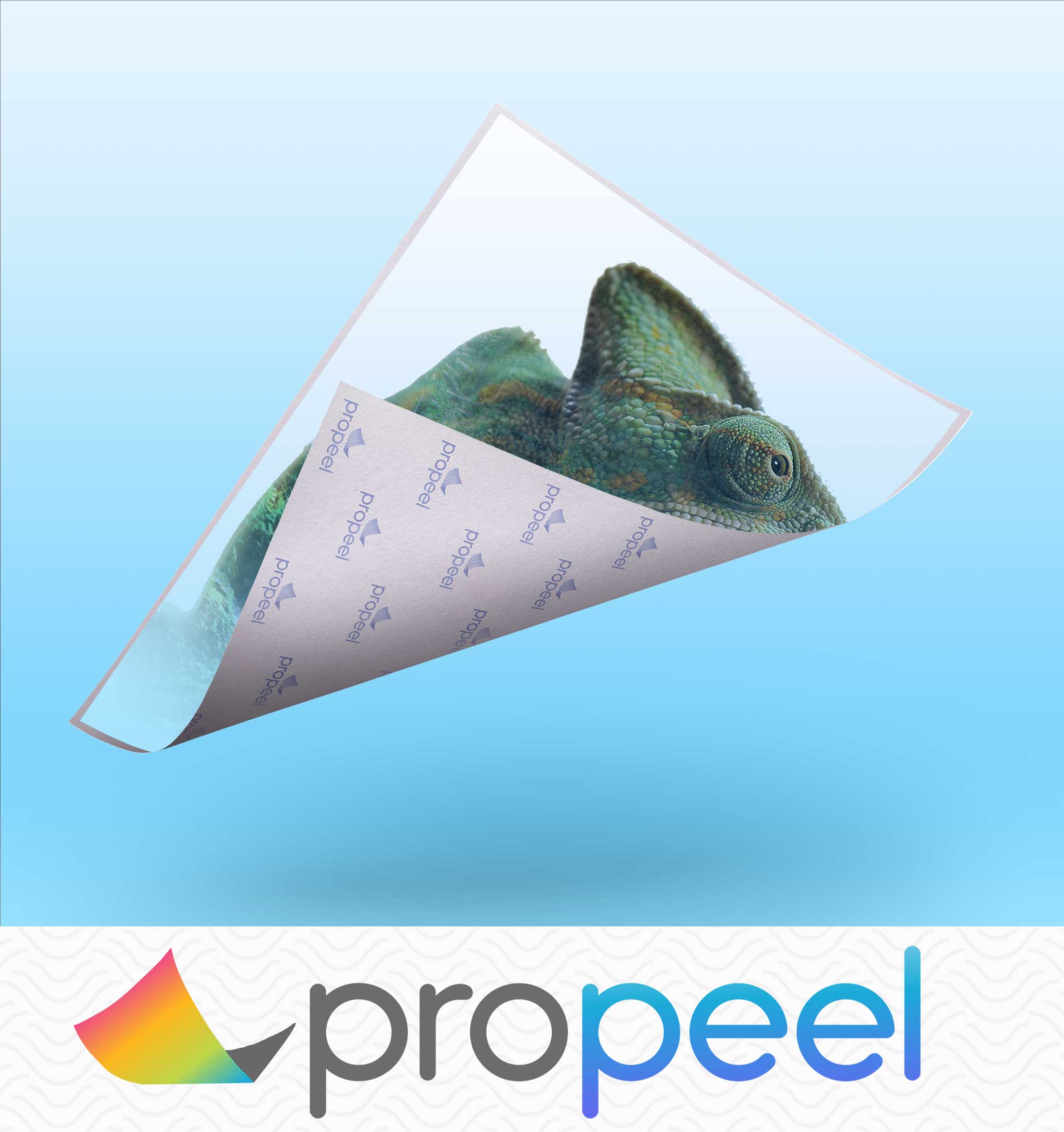 Propeel Waterslide 1-Step | Transfer Paper | Hard Surfaces - Image 4
